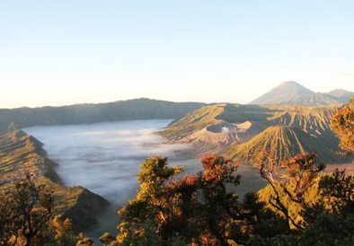 Book Bromo Batu Tretes Taman Safari Tour 2026