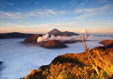 Book Bromo Batu Tretes Taman Safari Tour 2026
