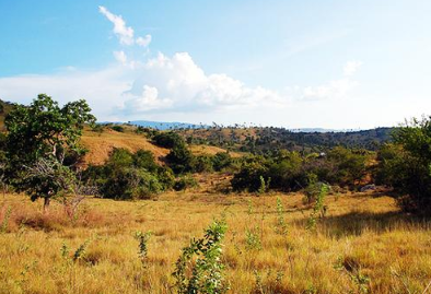 Book Flores Overland Tour 5 Days 4 Nights 2026 - Kelimutu Three Colors Lake