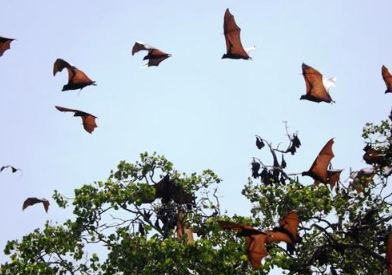 Book Flores Overland Tour 7 Days 2026 - Sunrise at Kelimutu Lake