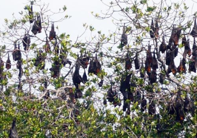 Book Flores and Komodo Adventure 8 Days 2026 - Sunrise at Kelimutu Lake
