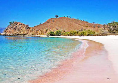 Book Komodo Adventure 3 Days 2 Nights 2026 - Private Boat View