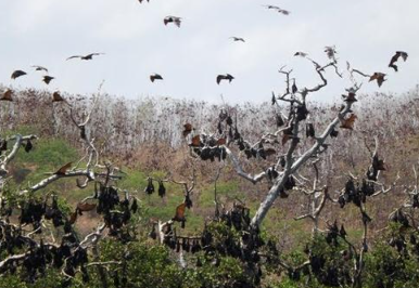 Book Komodo Island Sailing Tour 4 Days 2026 - Hiking Gili Laba Panorama