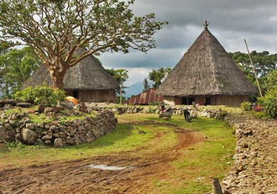 Book Komodo Tour Package 5 Days 4 Nights 2026 6 Book Komodo Tour Package 5 Days 4 Nights 2026