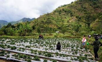 Book Lombok Daily Tours 2026