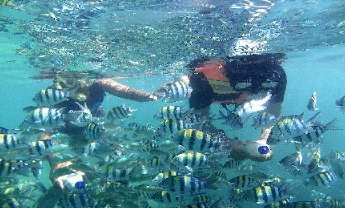 Book Lombok Daily Tours 2026