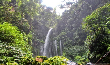 Book Lombok Daily Tours 2026