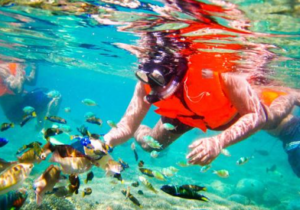 Book Lombok Snorkeling Tour 4 Days 3 Nights 2026