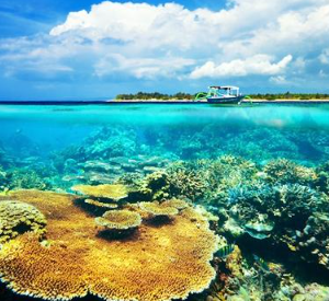 Book Lombok Snorkeling Tour 4 Days 3 Nights 2026