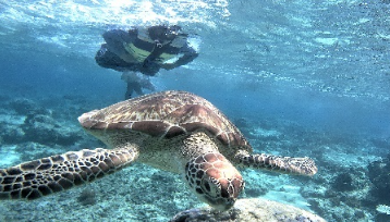 Book Lombok Tour Package 3 Days 2 Nights 2026