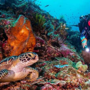 Book Manado Tour Package 4 Days 2026