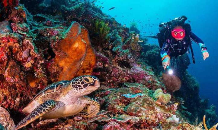 Book Manado Tour Package 4 Days 2026