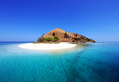 Book One Day Tour Komodo Package 2026