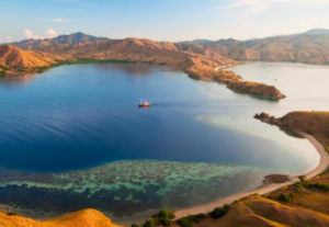 Book One Day Tour Komodo Package 2026