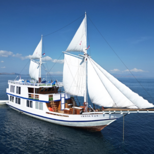 Book Private Trip by Invictus Deluxe Phinisi 2026 Master Suite