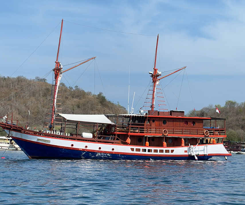 Book Private Trip by Radea 2 Luxury Phinisi 2026