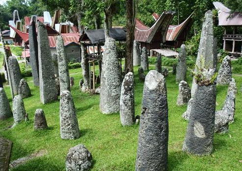 Book South Sulawesi Tour Package 8 Days 7 Nights