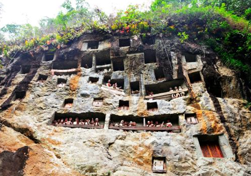 Book South Sulawesi Tour Package 8 Days 7 Nights