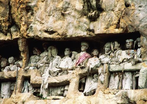 Book South Sulawesi Tour Package 8 Days 7 Nights