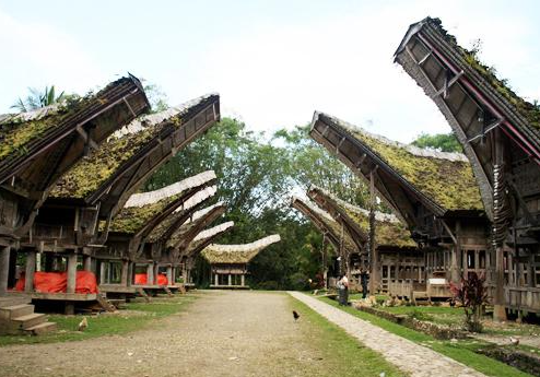 Book South Sulawesi Tour Package 8 Days 7 Nights