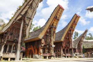 Ultimate Expedition: Book Toraja Culture and Nature Tour 4D3N 1 Book Toraja Culture and Nature Tour 4D3N