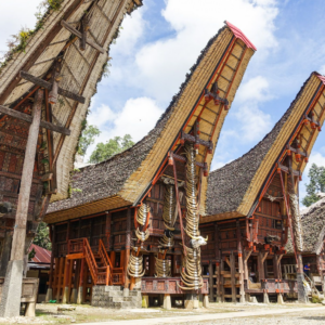 Book Toraja Culture and Nature Tour 4D3N