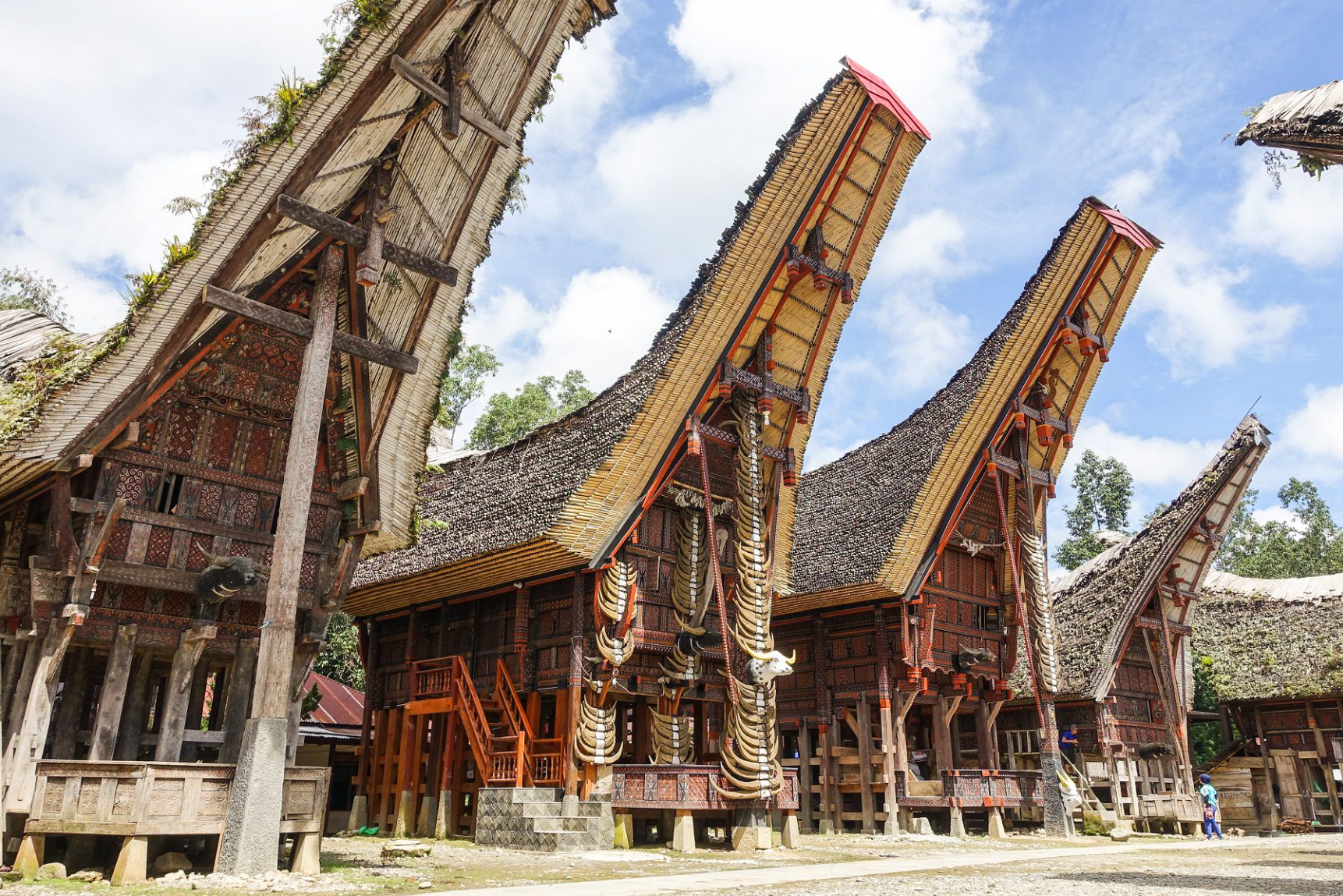Book Toraja Culture and Nature Tour 4D3N