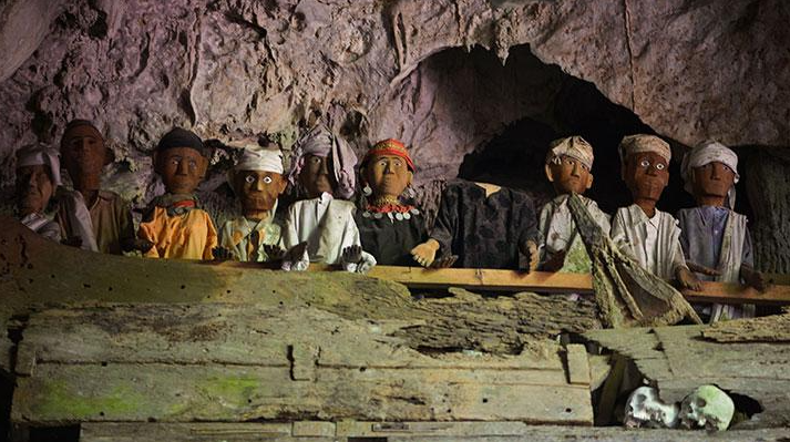 Book Toraja Culture and Nature Tour 4D3N