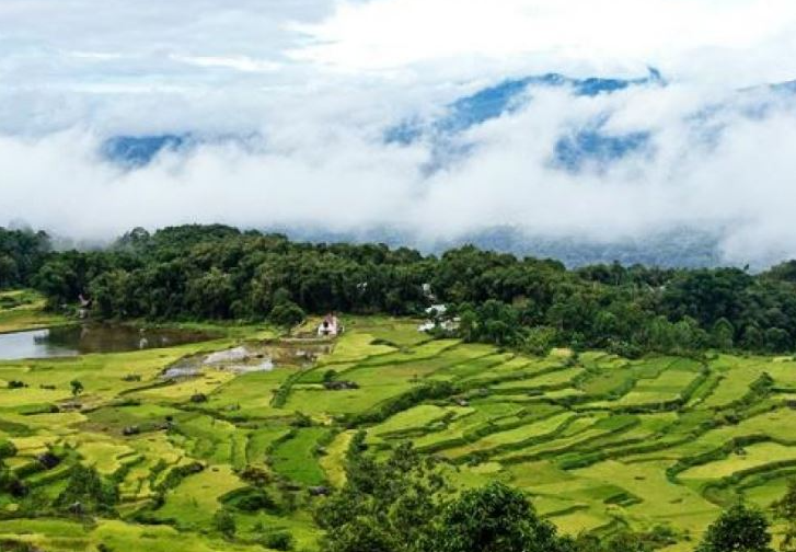 Book Toraja Culture and Nature Tour 4D3N