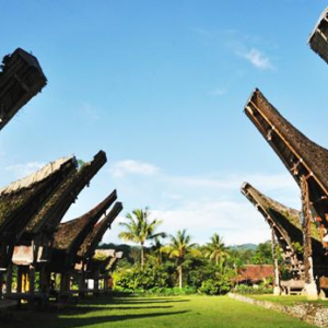 Book Toraja Tour Package 4 Days 3 Nights