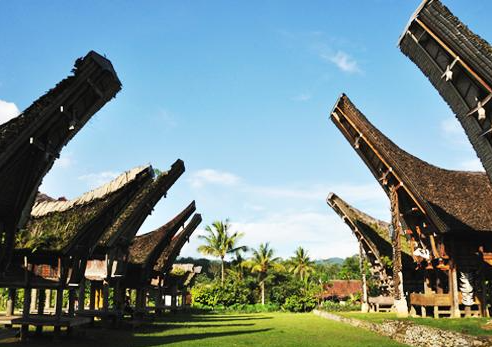 Book Toraja Tour Package 4 Days 3 Nights