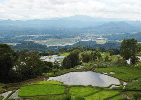 Book Toraja Tour Package 4 Days 3 Nights