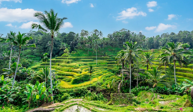 Book Ubud Helicopter Tour 2026