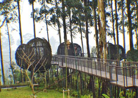 Exploring the landscape on our Book One Day Tour in North Bandung