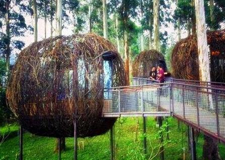 Exploring the landscape on our Book One Day Tour in North Bandung