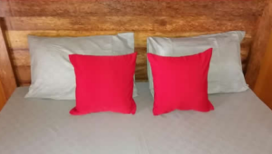 Infinity pool view when you Book Dragonfly Hostel Nusa Penida 2026 2