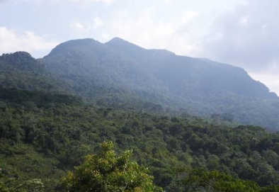 Mbeliling Peak Panorama - Komodo Mbeliling and Trekking 4 Days 3 Nights