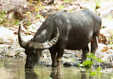 Mbeliling Peak Panorama - Komodo Mbeliling and Trekking 4 Days 3 Nights