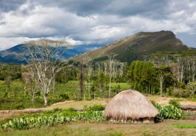 People trekking to book 15 day Kombai Korowai expedition