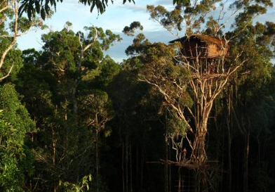 People trekking to book 15 day Kombai Korowai expedition