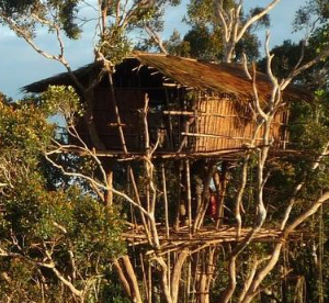 People trekking to book 15 day Kombai Korowai expedition