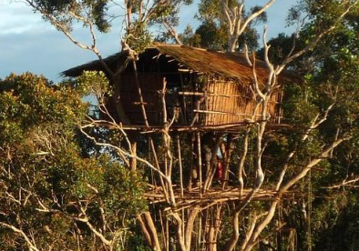 People trekking to book 15 day Kombai Korowai expedition
