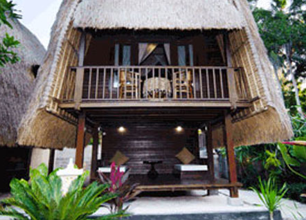 Private lumbung hut and tropical pool 2