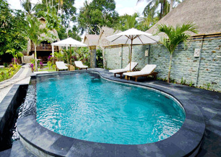 Private lumbung hut and tropical pool 3