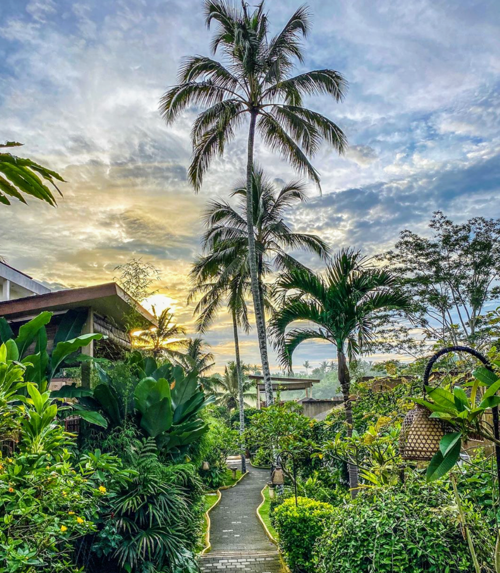 Book Ashoka Tree Resort Ubud 2026