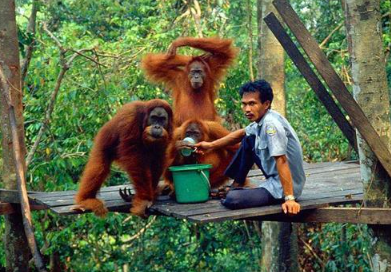 Samosir Island Excursion - Medan Lake Toba Holiday A 4 Days 3 Nights