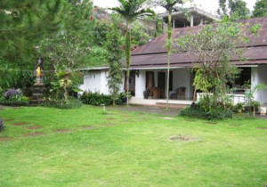 Scenic rice field view from the balcony when you Book Karangsari Guest 1