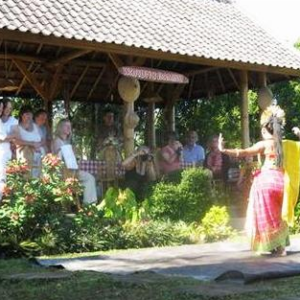 Book Karangsari Guest House Munduk 2026