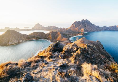 Scuba Diving at Castle Rock - Komodo Diving Tour 5 Days 4 Nights