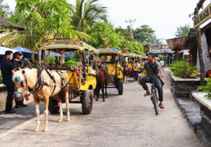 Book Lombok 2 Days 1 Night Package 2026 1 Snorkeling Trip - Lombok 2 Days 1 Night Package